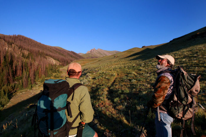 Grizzly Moth Site